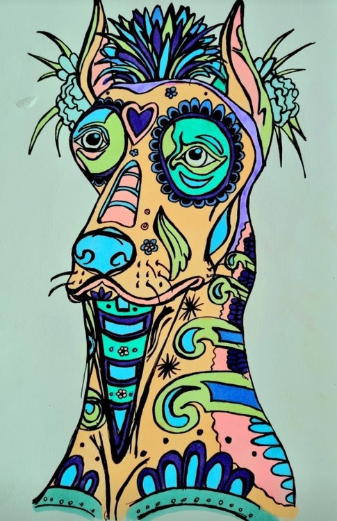 Candy skull canine