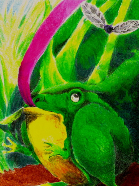 Frog and his Fly