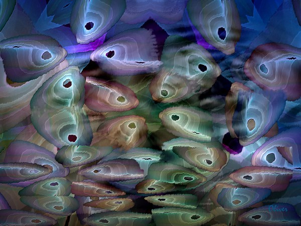 Like Fish Out Of Water II
