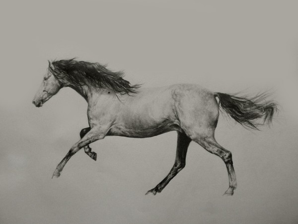 Quicksilver