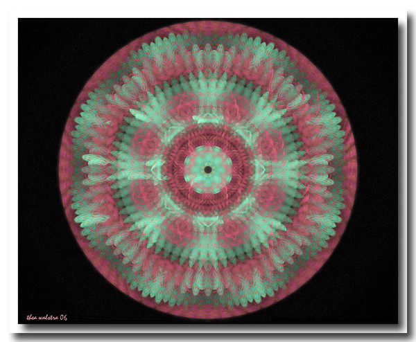 The plate II
