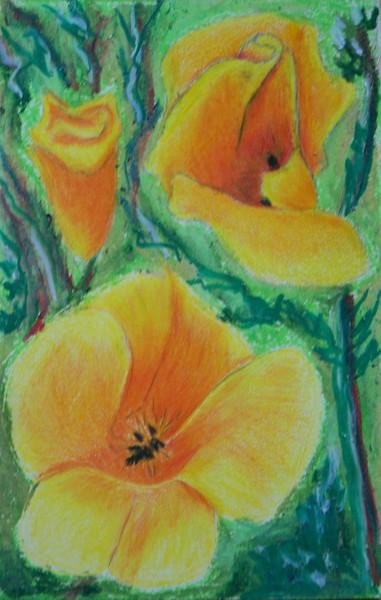 Yellow Poppies