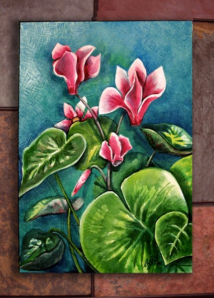 Cyclamen Pink