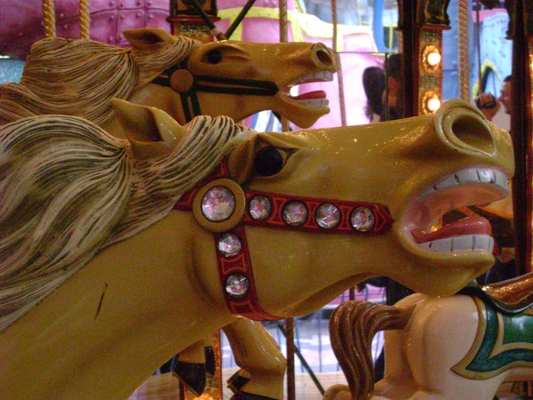 Crousel Horses 8
