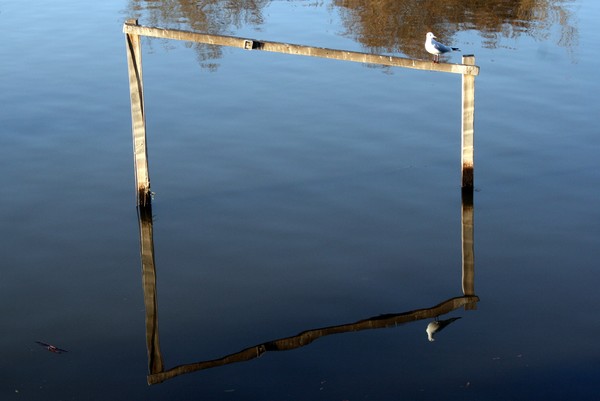 Water Reflection