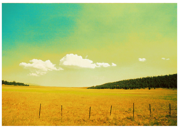 where the sky meets earth
