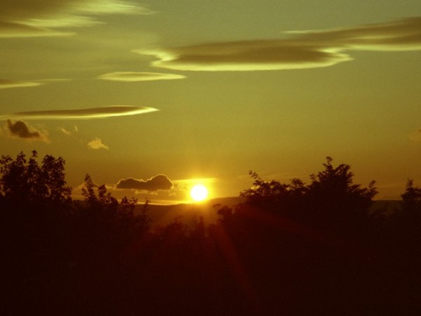 Golden Rays