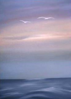 Two seagulls
