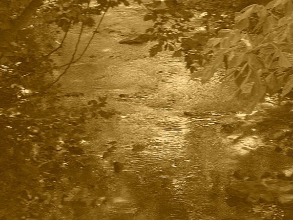 Tinker Creek