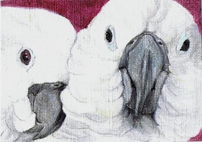 Pair of 2's - ACEO