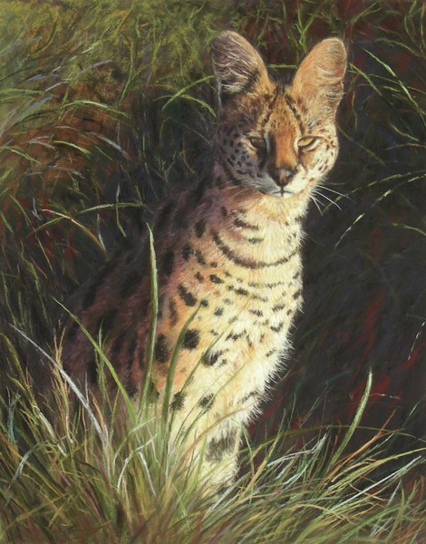 Serval