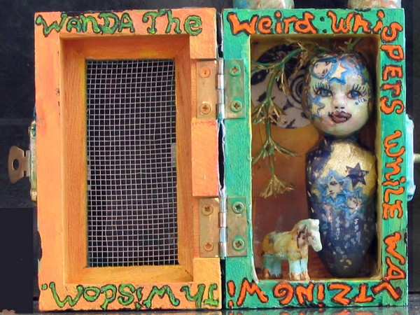 wanda the weird inside view