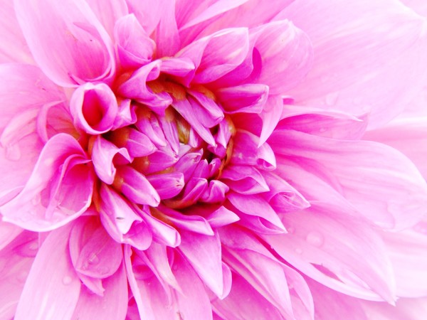 Up Close 026