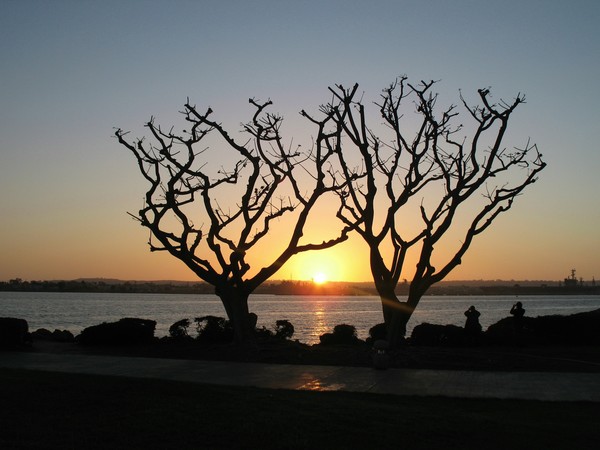 In San Diego