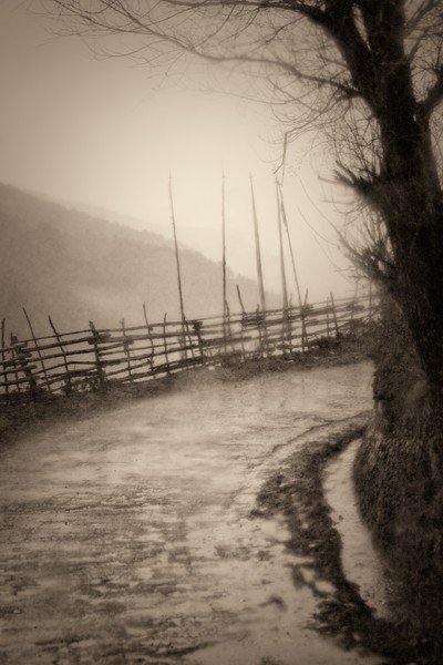 Bhutan Sepia No. 9