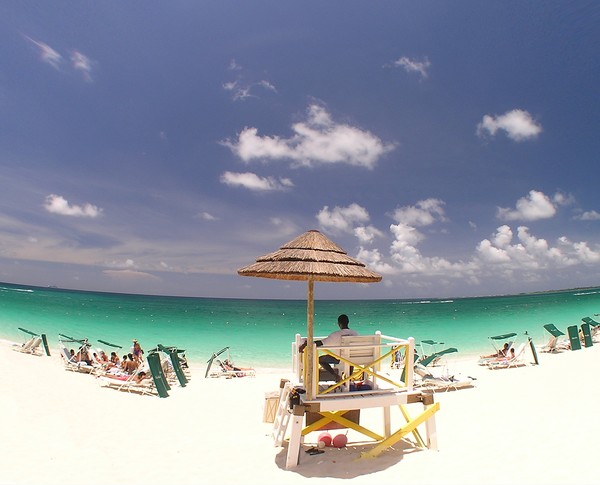 A Lifegaurd Paradise