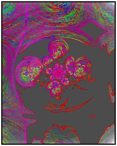 dreaming of a rose