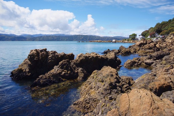 Karaka Bay, Wellington