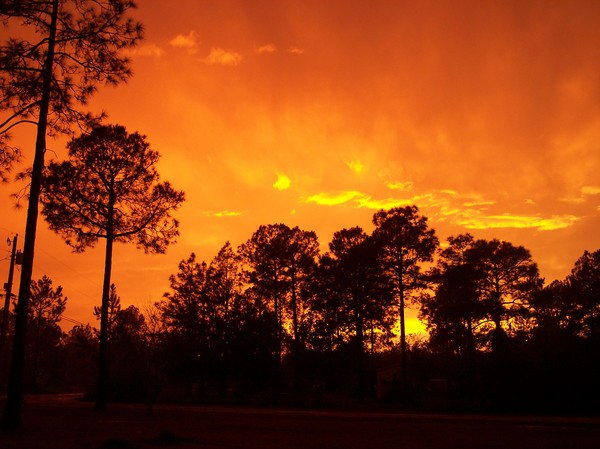 Red Sky at Night