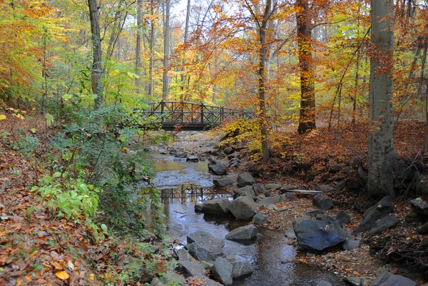 Bridge at Red Clay Creek