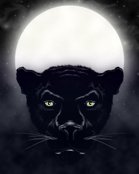 Black Panther -2