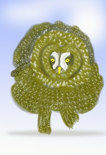 O425 Owl Landing