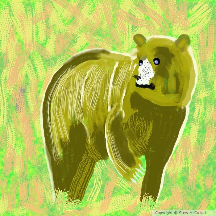 Abstract Blue Eyed Grizzly  P260