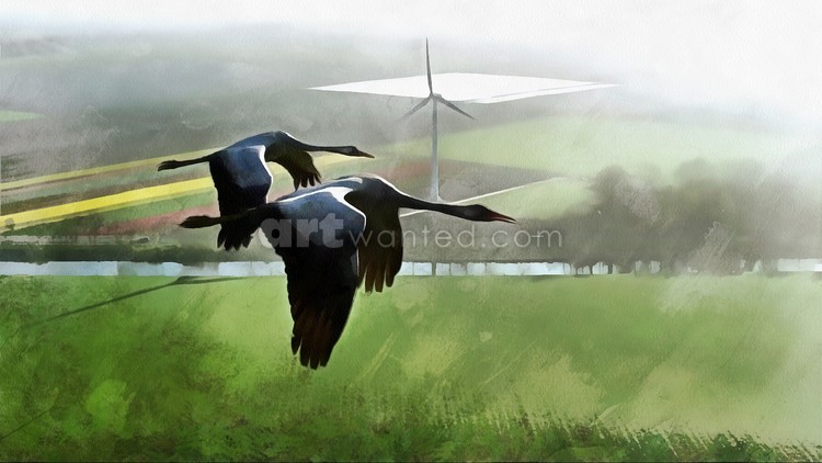 Birds in flight