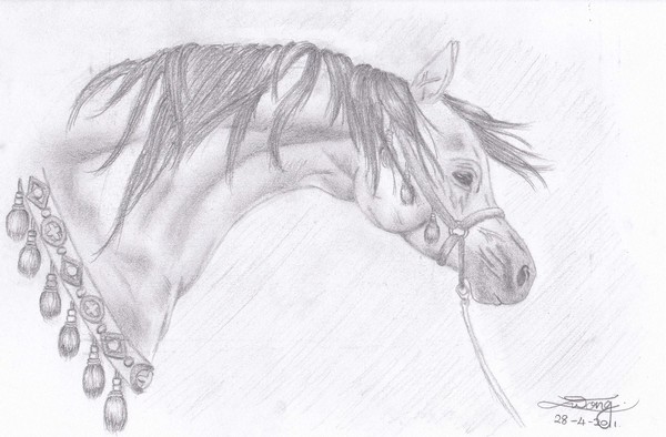 The Arabian Mare