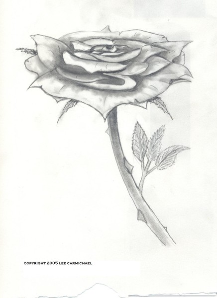 rose