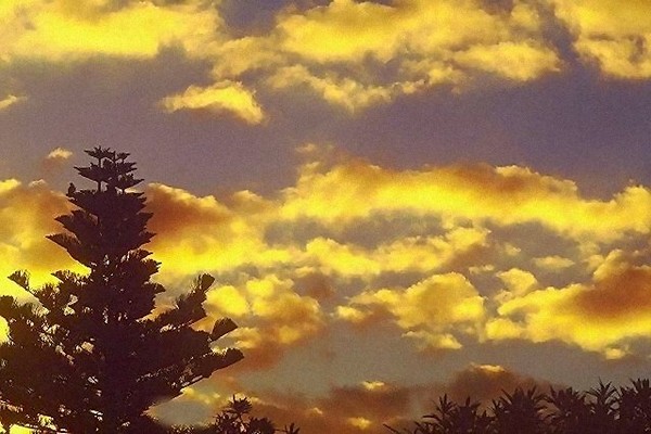 The Emerging Dawn