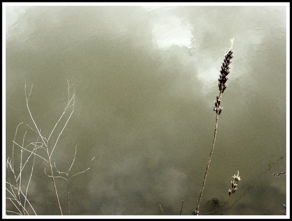 Stormy Day
