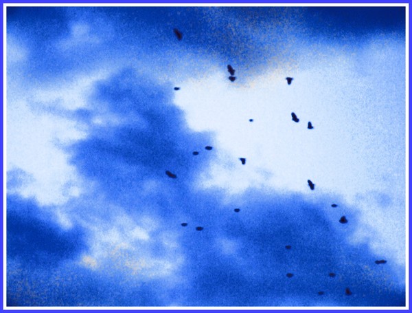 Final Flight