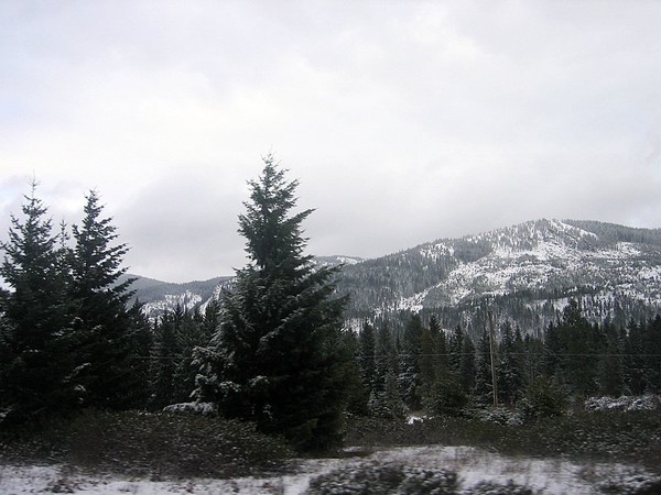 The Cascade Mountains