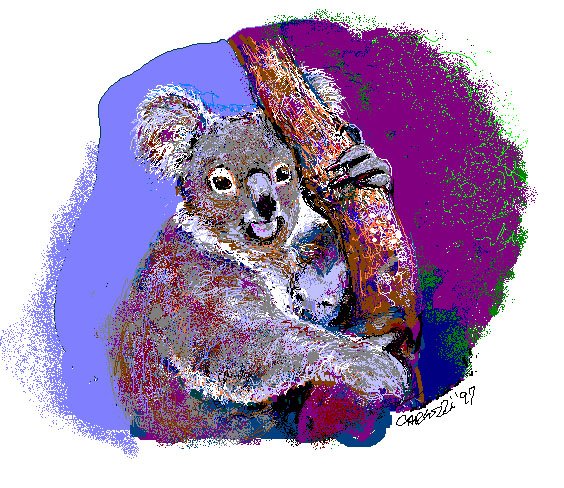 Koalas