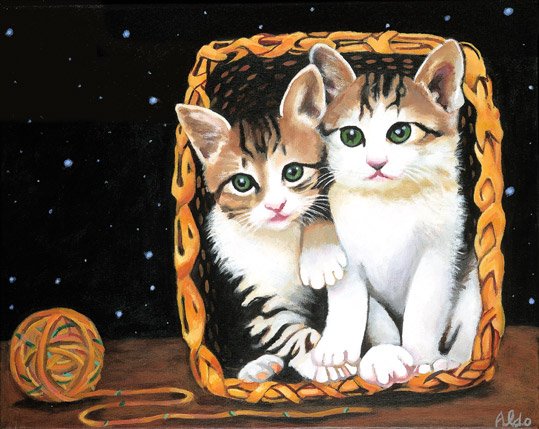 Two Cats