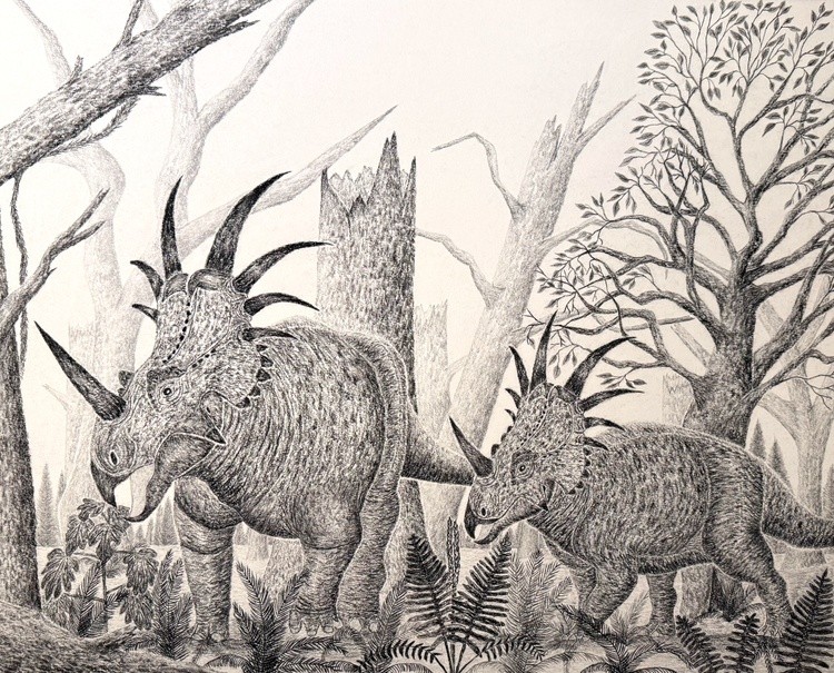 A Styracosaurus Pair in the Late Cretaceous 