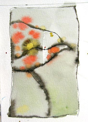 Polka Dot Poppy