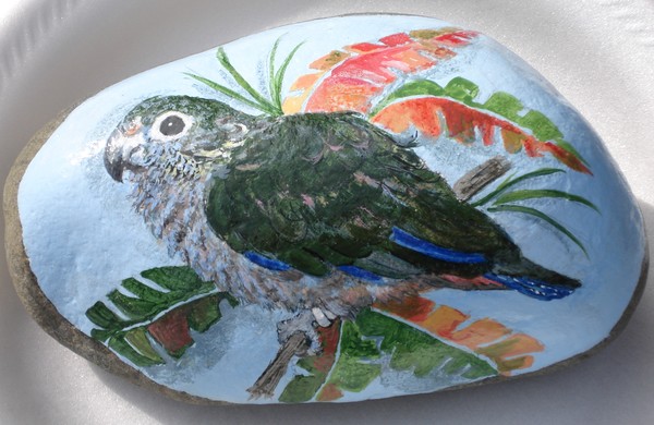 Pet Rock Parrot