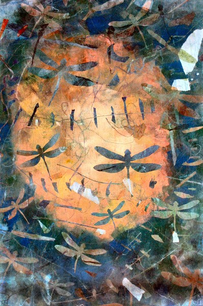 Dragonfly 2