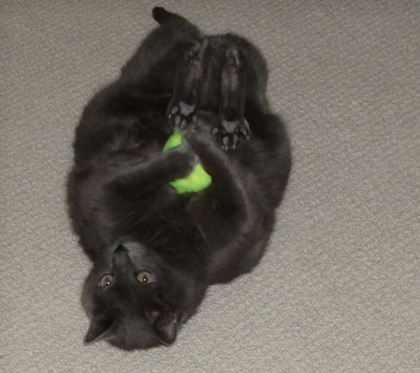 Ben with tennis ball