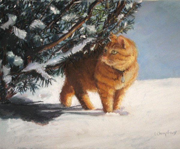 Snow Cat