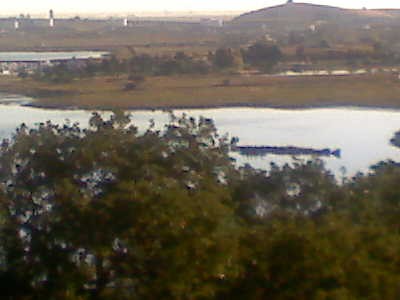 Old Wreck
