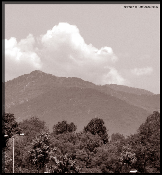Beyond the Trees