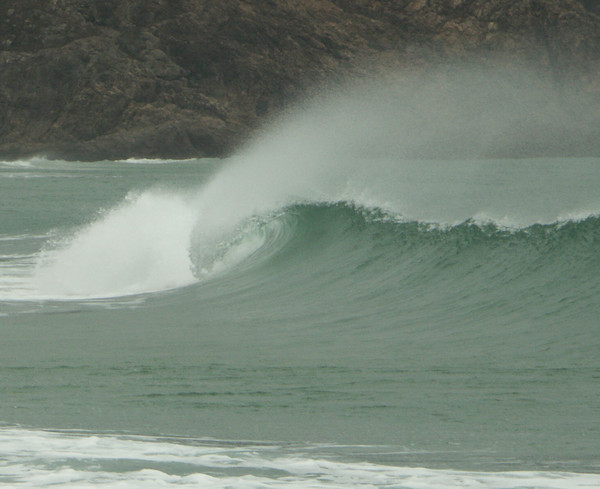 The Wave
