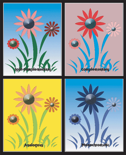 Color Scheme Final