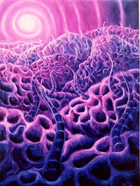 Wormhole