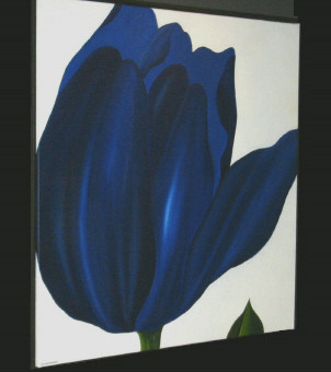big blue tulip
