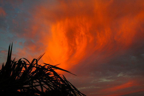 Fire In The Sky