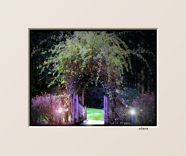 ARBOR